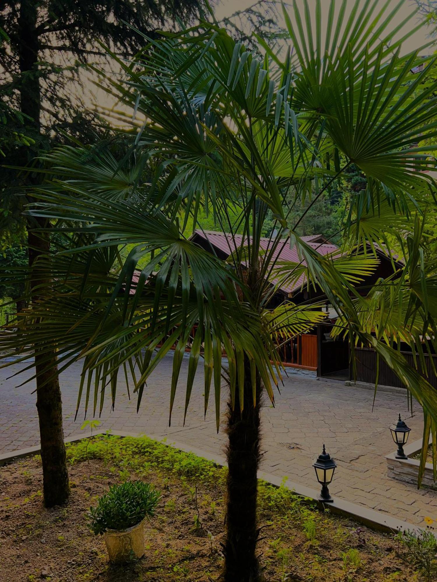 Isikli Kale Hotel Caykara Екстериор снимка
